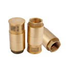 Нижній зворотний клапан